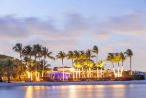 Miami : visite d'une demi-journée en ville et croisière