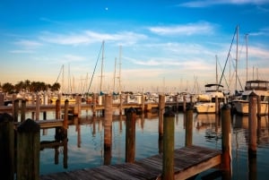 Miami: Half-Day City and Boat Tour