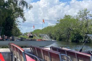 Miami: Half-Day Everglades Tour in French