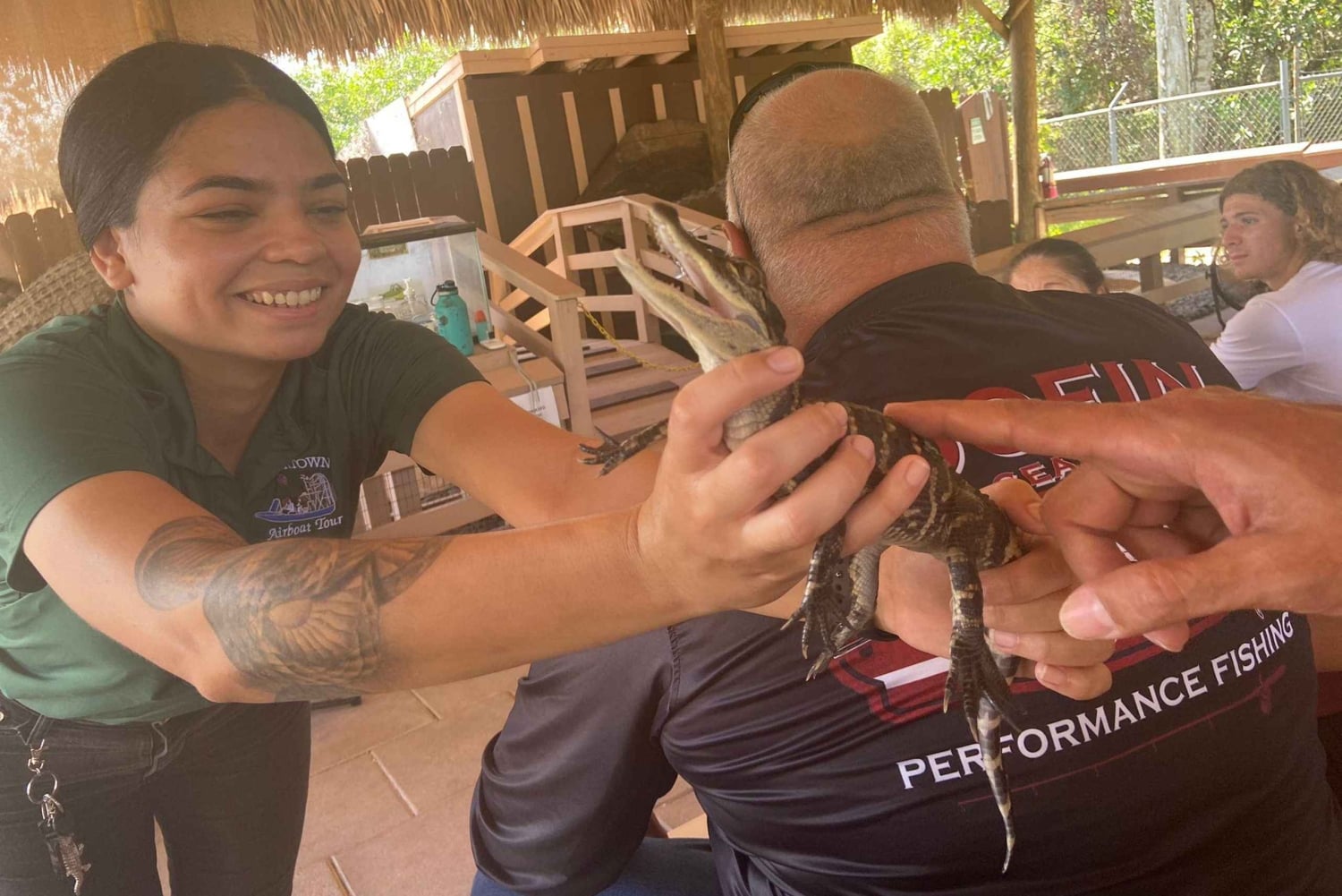 Miami: Half-Day Everglades Tour