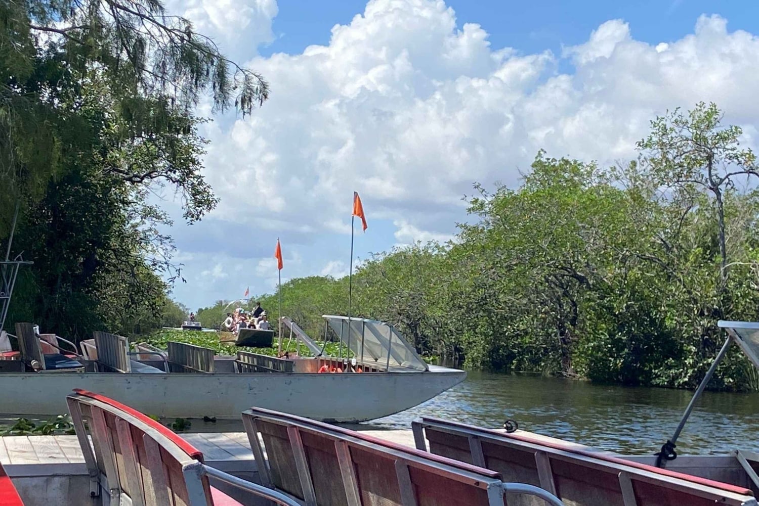 Miami: Half-Day Everglades Tour