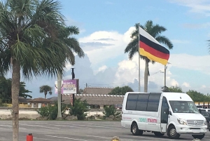 Miami: Half-Day Everglades Tour