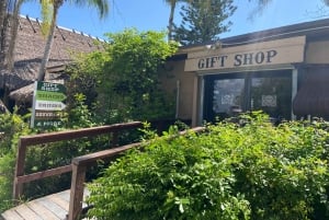 Miami: Half-Day Everglades Tour