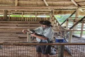 Miami: Half-Day Everglades Tour