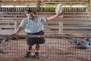 Miami: Half-Day Everglades Tour