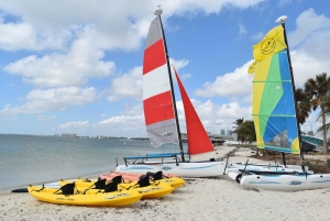 Miami: żeglarstwo dla kota hobbiego