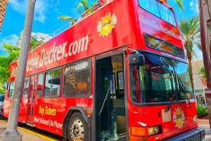 Miami: Hop-on Hop-off Bus Tour with Boat Cruise