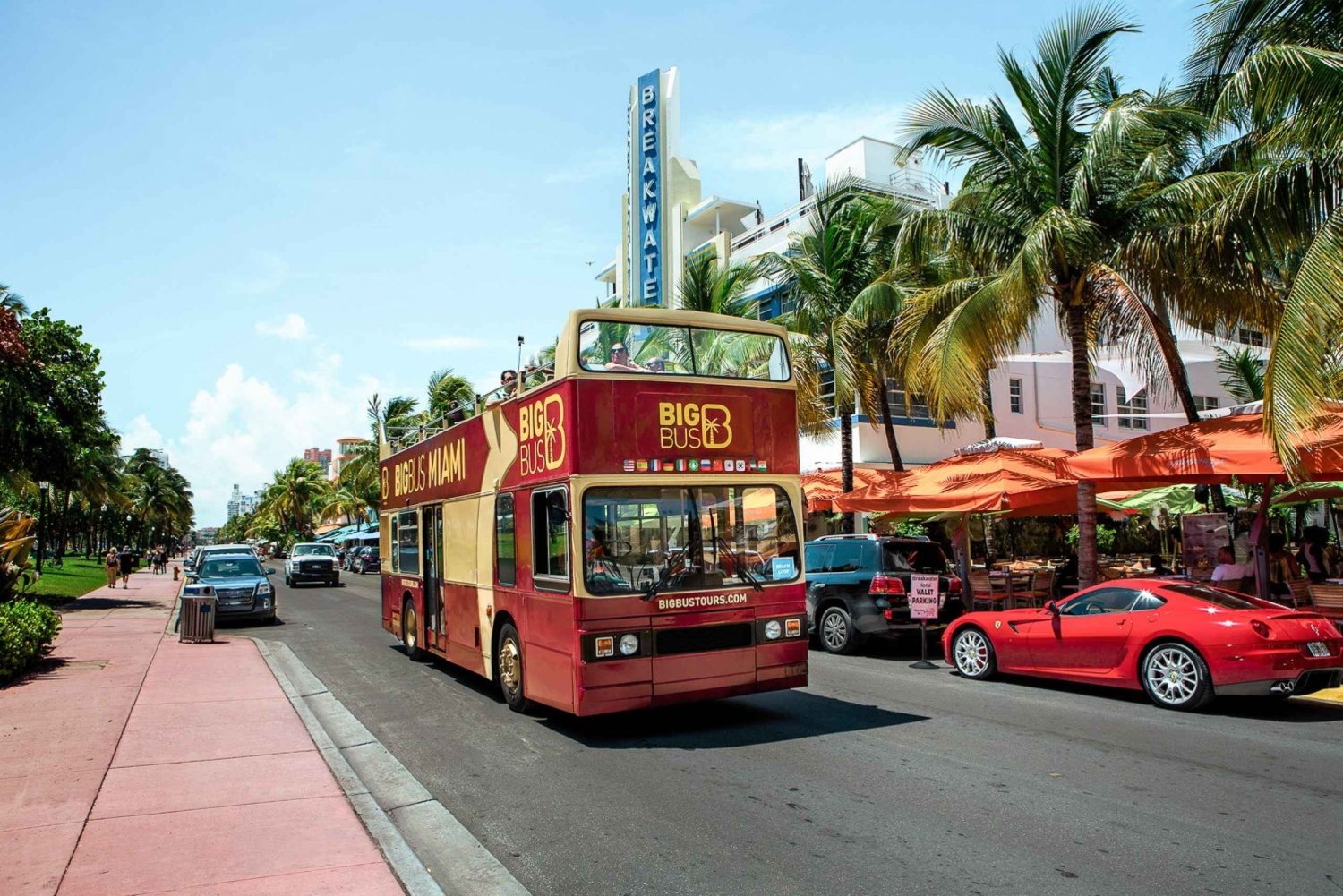 Miami: Hop-on Hop-off City Tour w/ Boat & Everglades Options