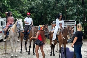 Miami: Horseback Riding in South Beach