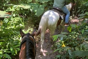 Miami: Horseback Riding in South Beach