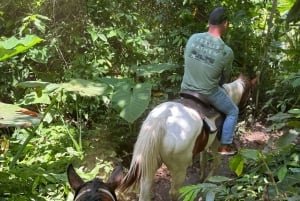 Miami: Horseback Riding in South Beach