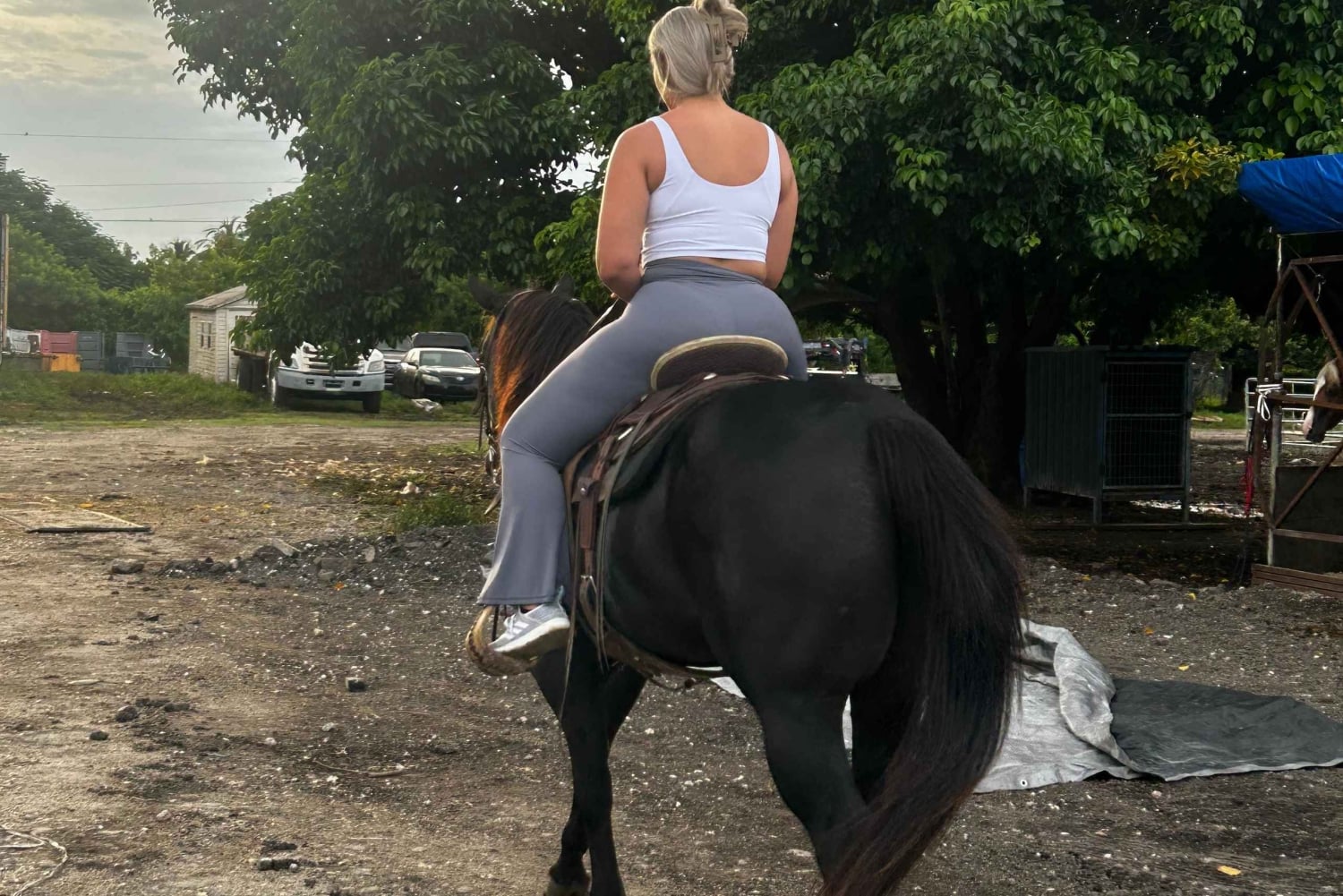 Miami: Horseback Riding Tour with Instructor