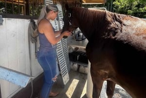 Miami: Horseback Riding Tour with Instructor
