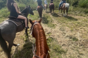 Miami: Horseback riding