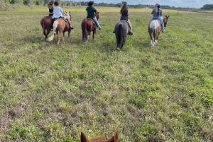 Miami: Horseback riding