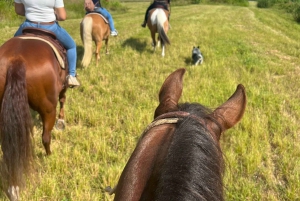 Miami: Horseback riding