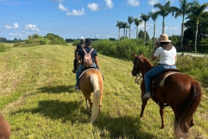 Miami: Ridning på hästryggen