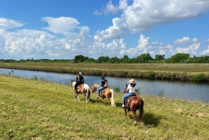 Miami: Horseback riding