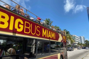 Miami: Sightseeing Speedboat and Hop-On Hop-Off Bus Tour