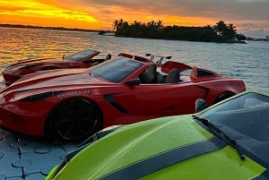 Miami JetCar: Water Jet Car Rental | 1h | 300$ due @Check-in