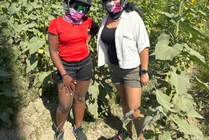 Miami: Kombinasjon av jetski og ATV-safari