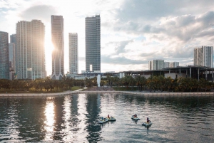 Miami: Åkning med jetski från South Beach