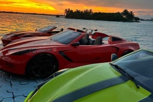 Miami JetCar: 1 Water JetCar Rental | 1h