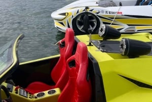 マイアミ: ジェットカー体験、ジェットカーの時間貸し