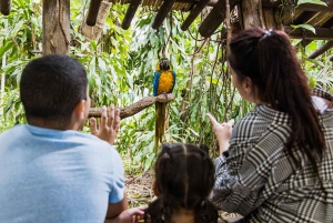 Miami: Jungle Island General Admission