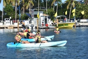 Miami: Kayak or Paddleboard Rental