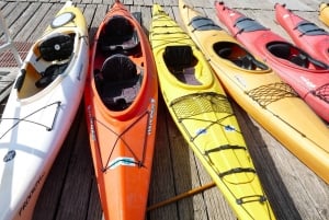 Miami: Biscayne Bay Aquatic Preserve Kayak Tour