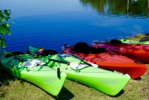 Miami: Biscayne Bay Aquatic Preserve Kayak Tour