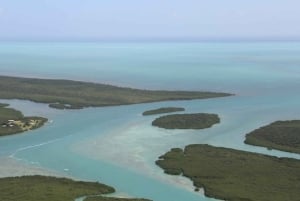 Miami: Excursão panorâmica de avião em Key Largo