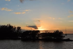 Miami: Key Largo Scenic Plane Tour