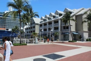 Miami: Key West Boat Tour w/ valinnainen snorklaus & avoin baari