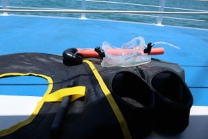Miami: Key West-båttur med snorkling og åpen bar (valgfritt)
