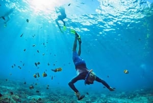 Miami: Tour en barco por Cayo Hueso con snorkel opcional y barra libre