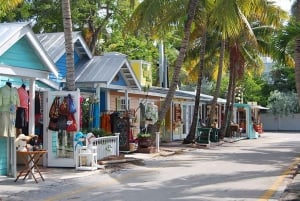 Miami: Key West Boat Tour w/ valinnainen snorklaus & avoin baari
