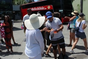 Miami: Key West Boat Tour w/ Optional Snorkeling & Open Bar