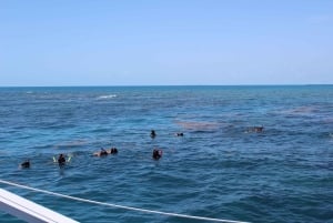 Miami: Key West Boat Tour w/ Optional Snorkeling & Open Bar