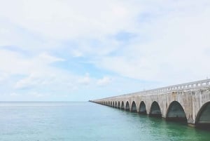 Miami: Key West Boat Tour w/ Optional Snorkeling & Open Bar