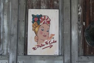 Miami: Key West Boat Tour w/ Optional Snorkeling & Open Bar