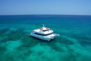 Miami: Key West Day Trip & Snorkeling with Pickup Option