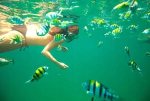 Miami: Key West Snorkeling Day Trip with Open Bar