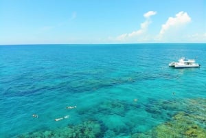 Miami : Excursion d'une journée à Key West avec tour en bateau Combo à Miami