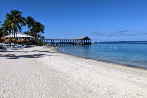 Miami : Excursion d'une journée à Key West pour faire de la plongée en apnée avec Open Bar