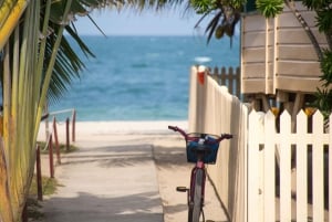 Miami: Key West Snorkling dagstur med åpen bar