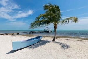 Miami: Key West Snorkling dagstur med åpen bar