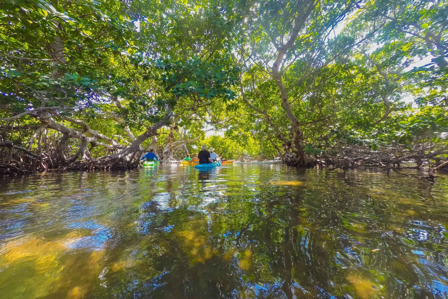 Miami: Key West Tour with Snorkeling & Kayaking