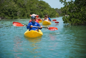 Miami: Key West Tour med snorkling och kajakpaddling